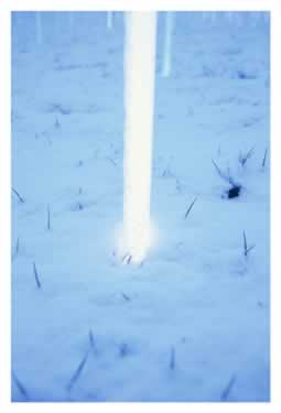 Illustration for article titled 1,301 Florescent Bulbs Lit Solely by Magnetic Fields